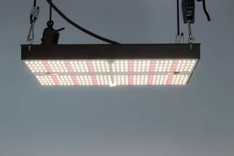 Led Quantum Board 120w Samsung Lm301h Meanwell - Imagem 7