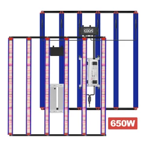 Led Quantum Bar 650w Samsung Lm301H Evo + Meanwell